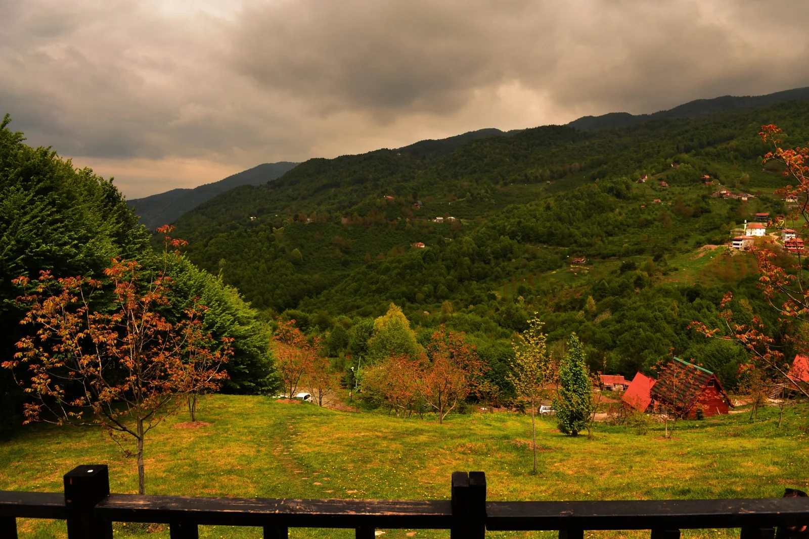 Piramitevim 2 fotoğraf 2