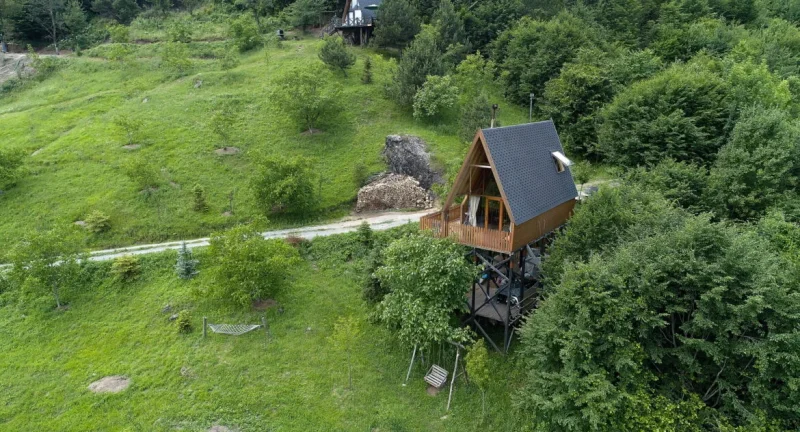Engelsizevim