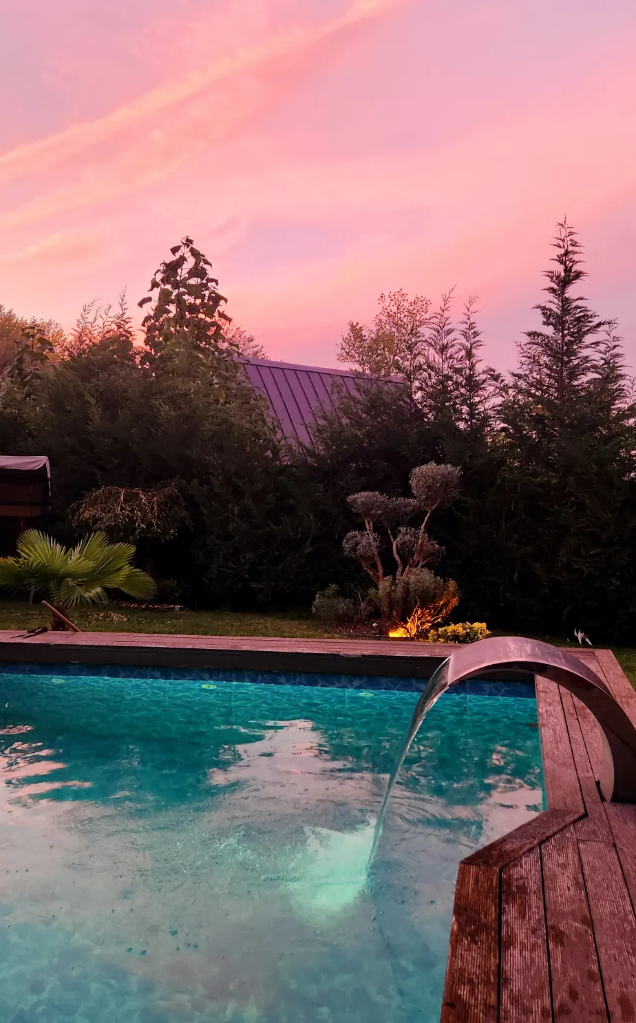 Premium-1 Konsept fotoğraf 12